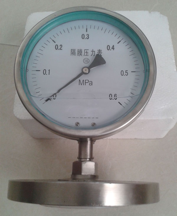 YMN系列隔膜式耐振壓力表