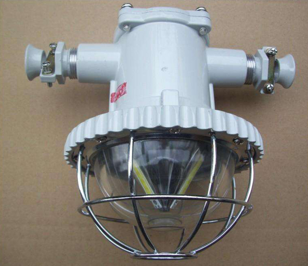 DGS20-30/127L礦用隔爆型LED巷道燈