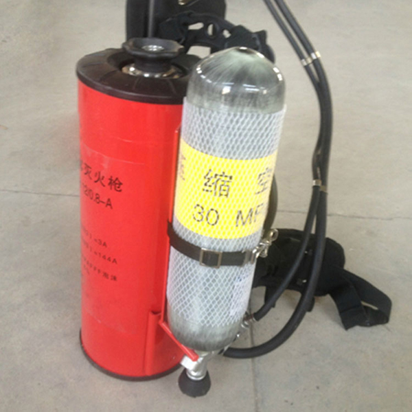 QWMT50脈沖氣壓噴霧水槍