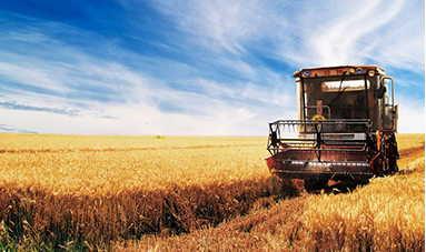 山東唯信農業科技有限公司