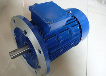 DSB系列隔爆型三相異步電機