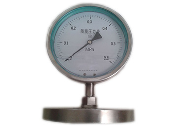 YMN系列隔膜式耐振壓力表