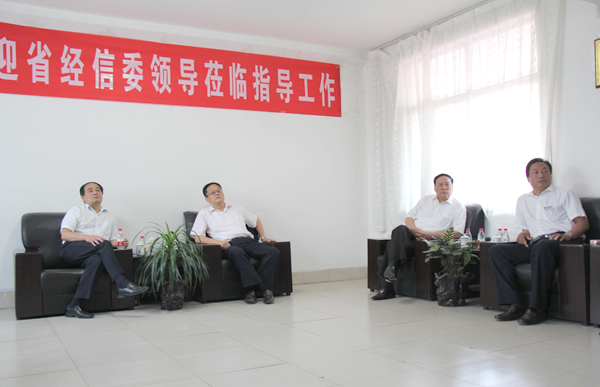 /省經信委領導蒞臨山東中煤考察/