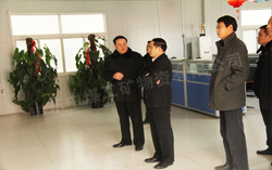 熱烈歡迎中區政府領導蒞臨山東中煤工礦集團指導工作